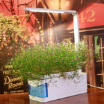 Indoor Herb LED Smart Garden